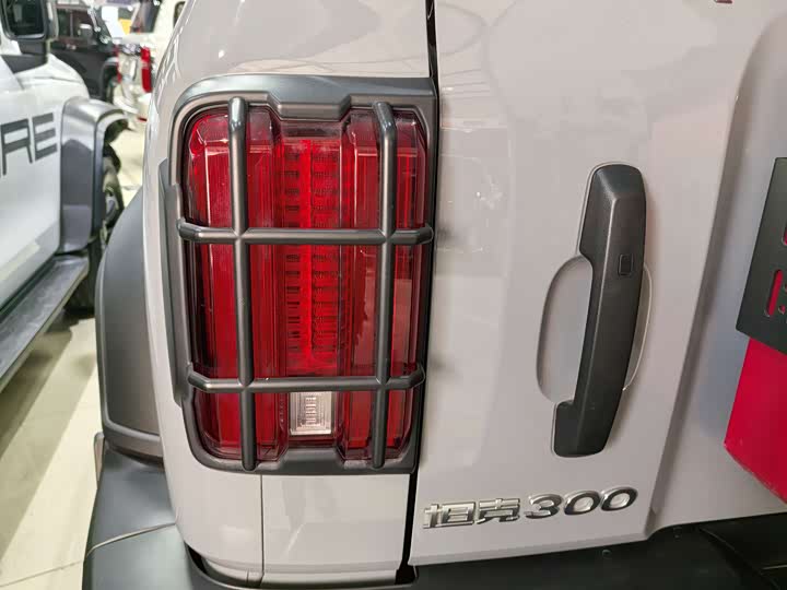 Фото 12 - Tank 300