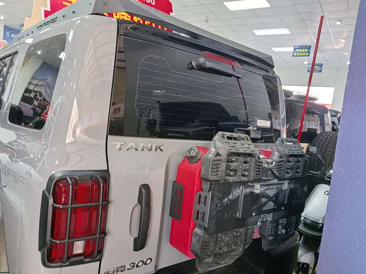 Фото 13 - Tank 300