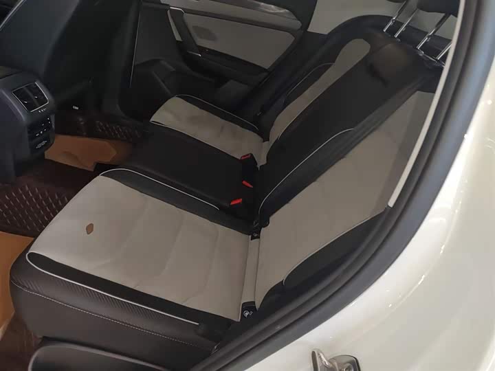 Фото 17 - Volkswagen Tayron X