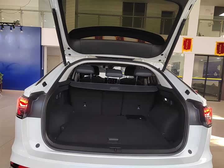 Фото 19 - Volkswagen Tayron X