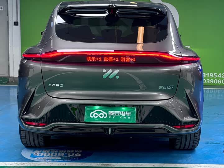 Фото 24 - IM motors LS7