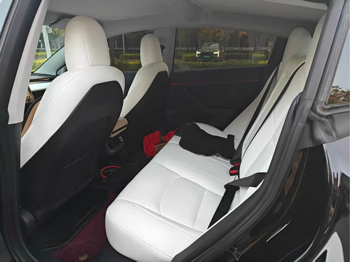 Фото 5 - Tesla Model 3