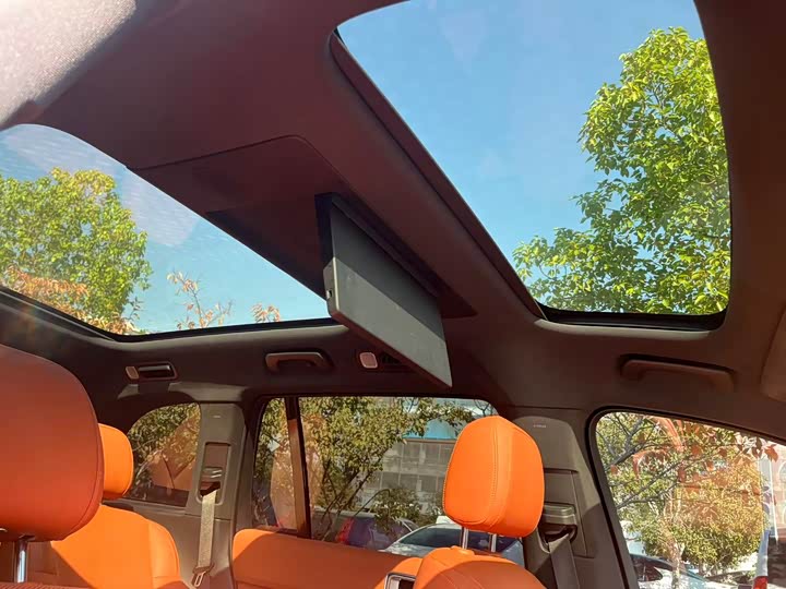 Фото 20 - LiXiang L9