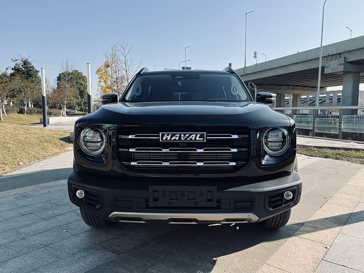 Фото 2 - Haval Dargo