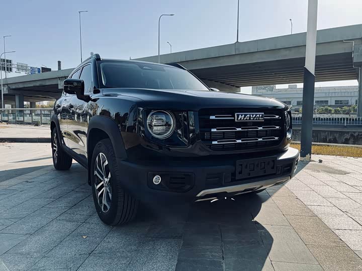 Фото 3 - Haval Dargo