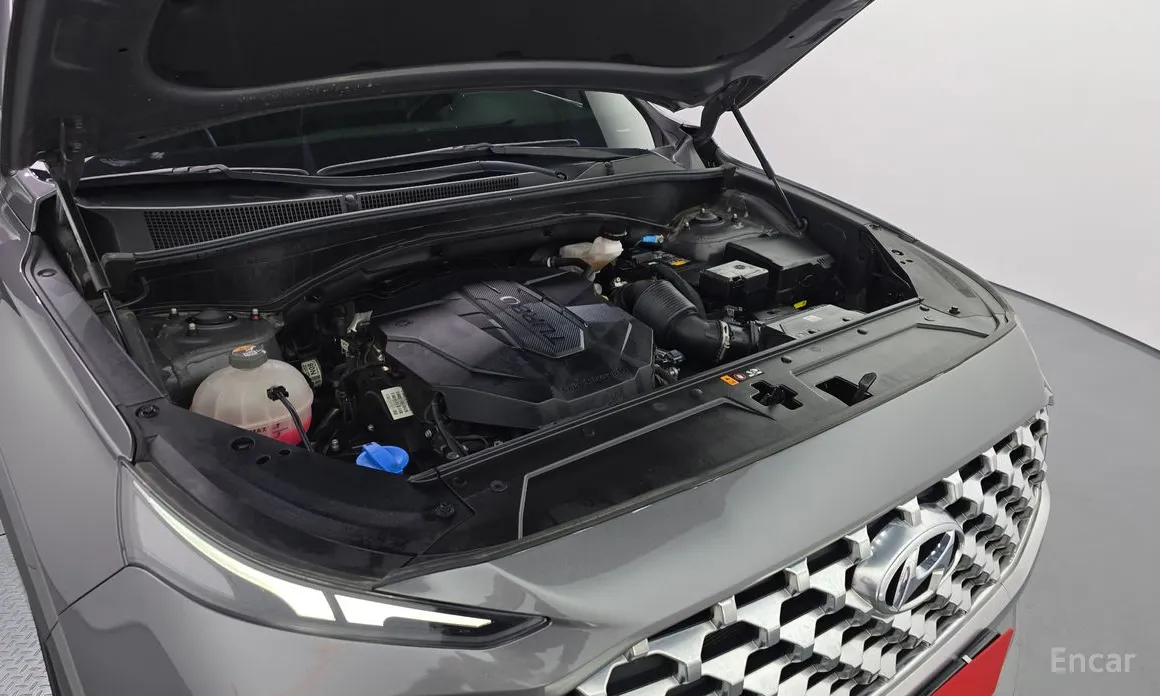 Фото 6 - Hyundai Santa Fe