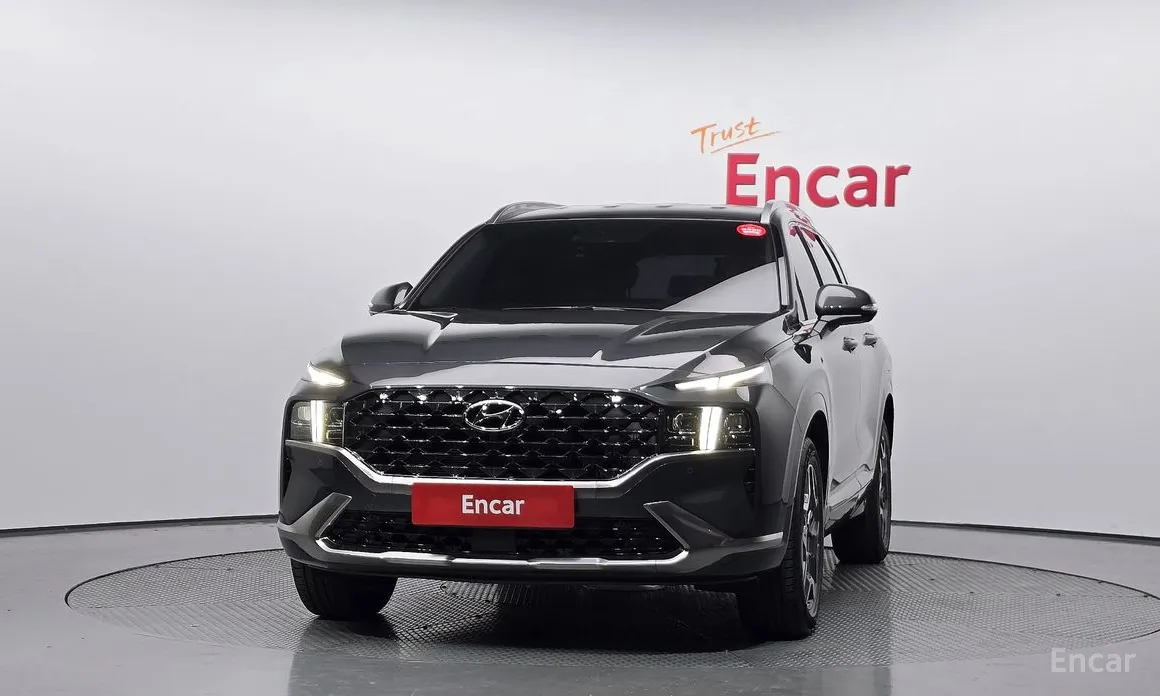 Zdjęcie 3 - Hyundai Santa Fe