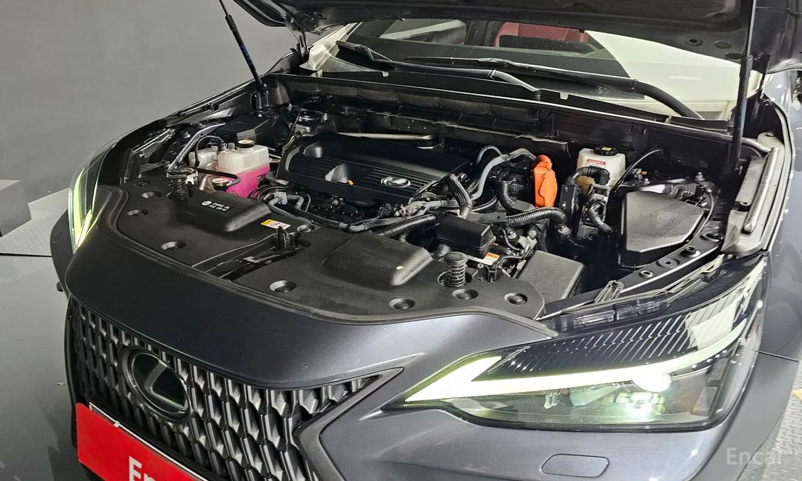 Фото 6 - Lexus NX