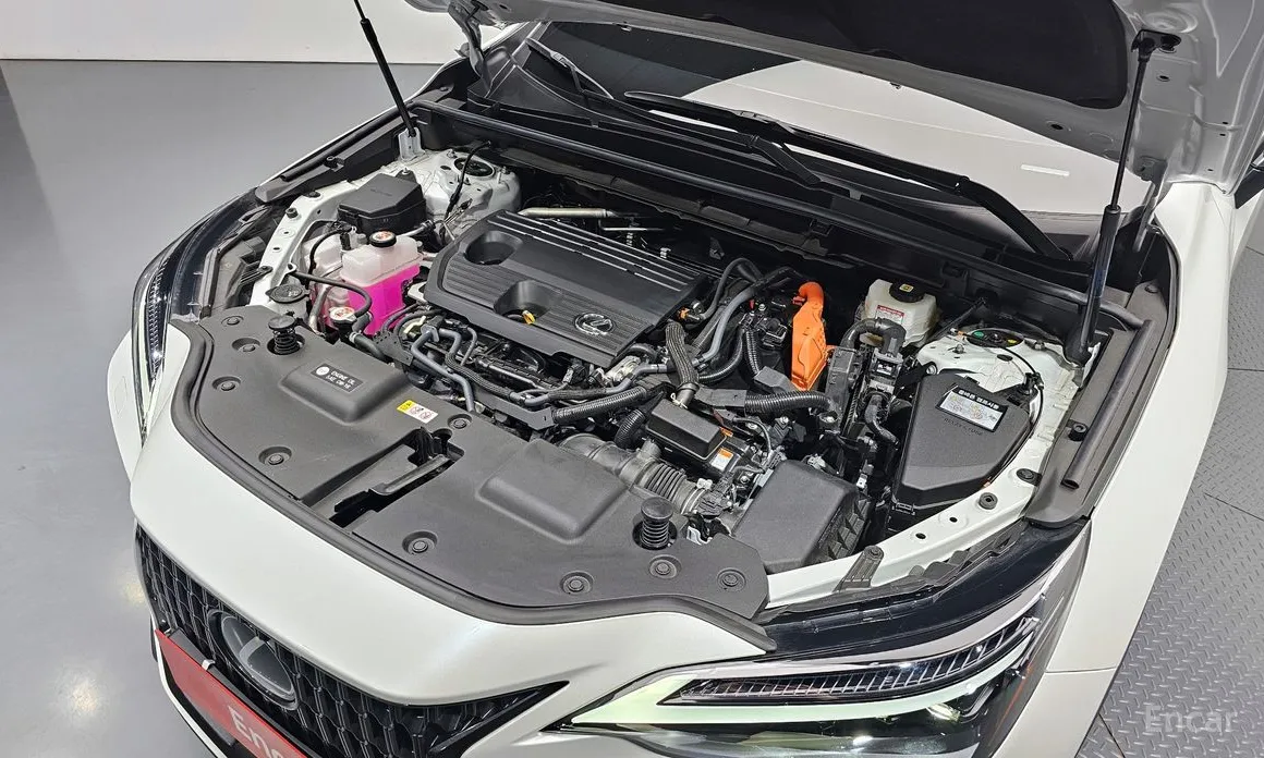 Фото 6 - Lexus NX