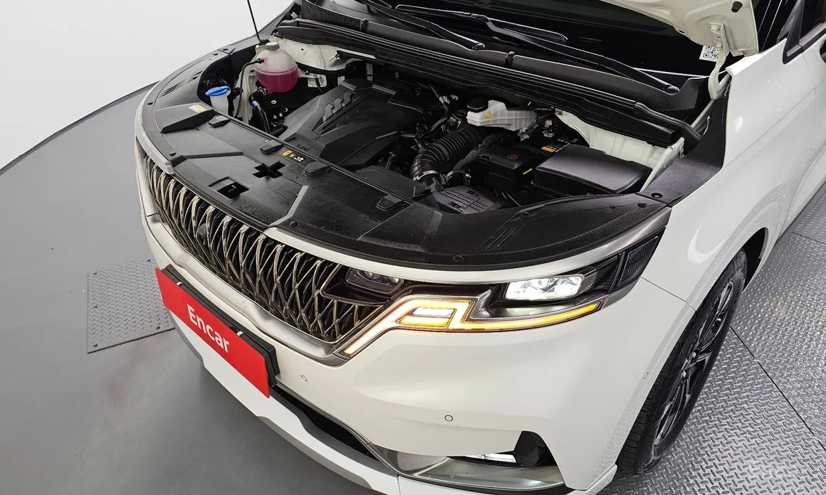 Фото 6 - Kia Carnival