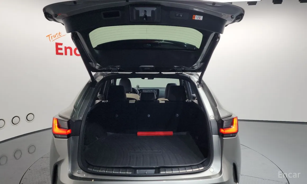 Фото 20 - Lexus NX