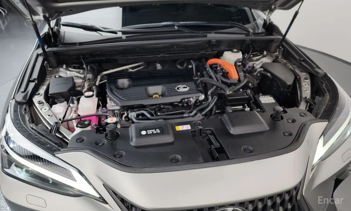 Фото 6 - Lexus NX