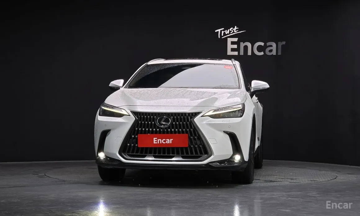 Фото 3 - Lexus NX