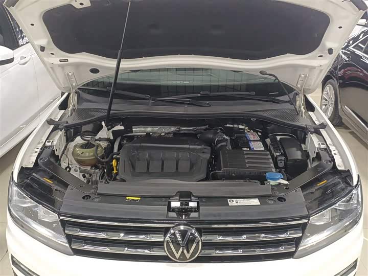 Фото 20 - Volkswagen Tiguan L Pro