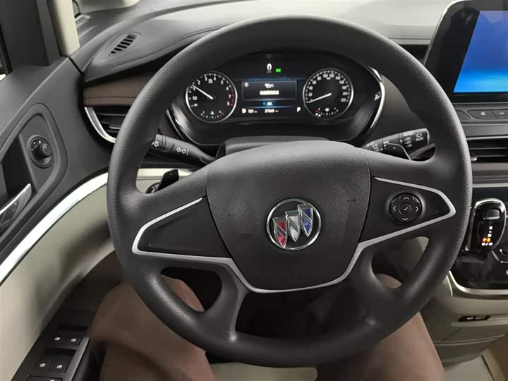 Фото 11 - Buick GL8 ES