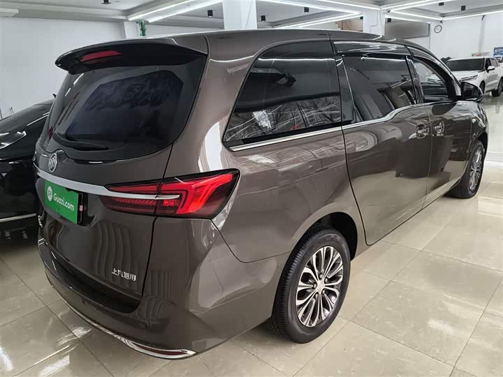 Фото 7 - Buick GL8 ES