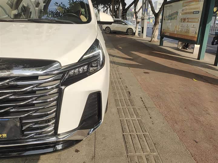 Фото 24 - Buick GL8 ES