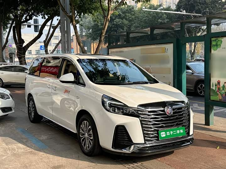 Фото 4 - Buick GL8 ES