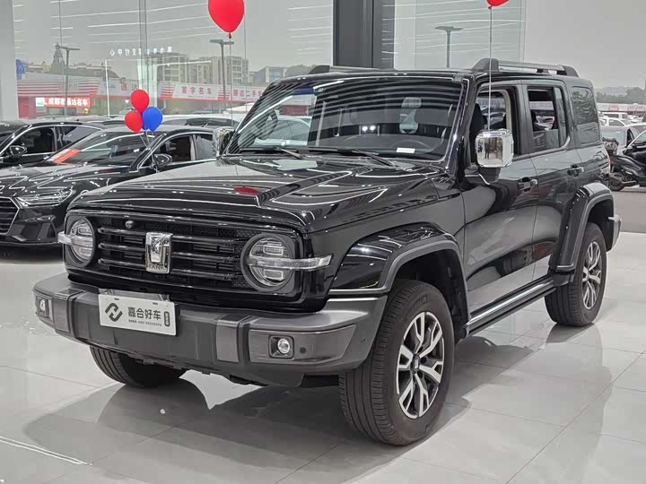 Фото 1 - Tank 300