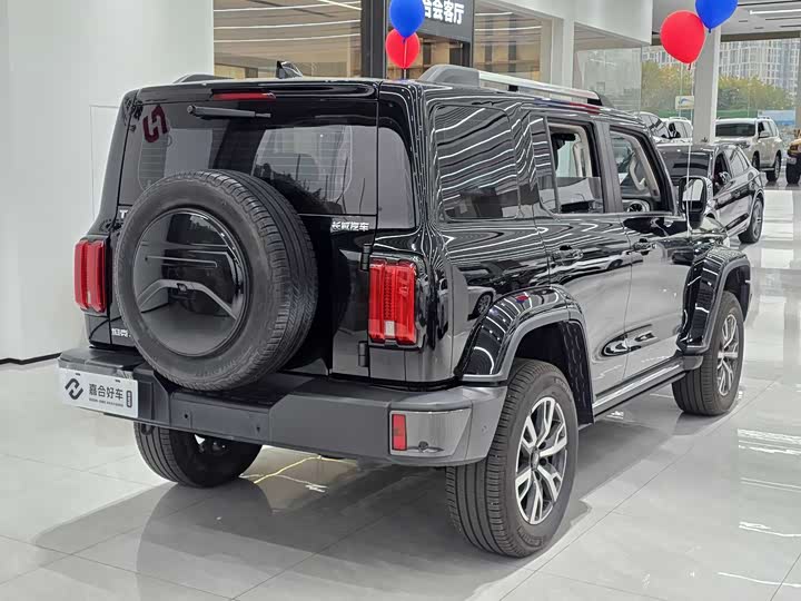 Фото 14 - Tank 300