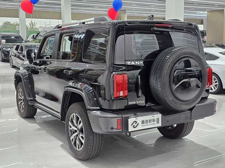 Фото 15 - Tank 300