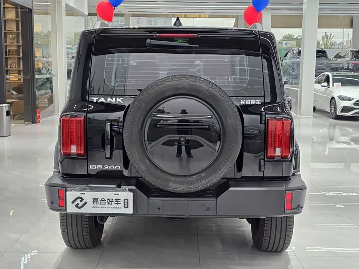 Фото 16 - Tank 300