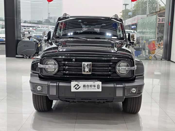 Фото 2 - Tank 300