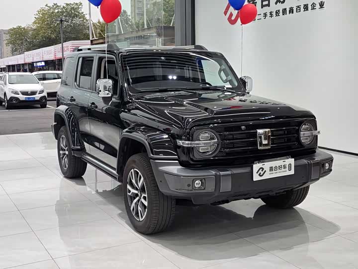 Фото 3 - Tank 300