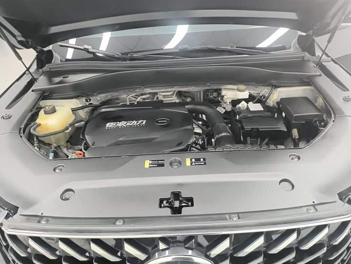 Фото 10 - GAC Trumpchi GS8