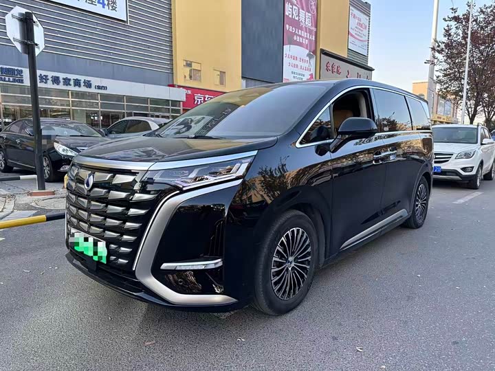 Фото 1 - Denza D9