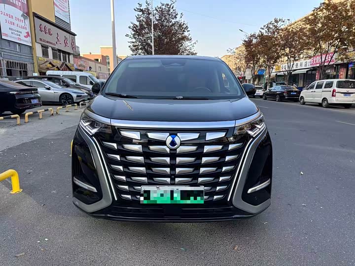 Фото 2 - Denza D9