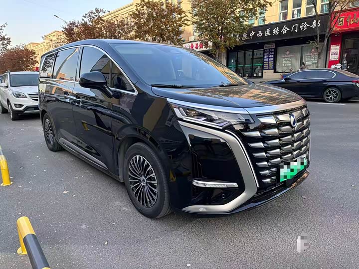 Фото 3 - Denza D9