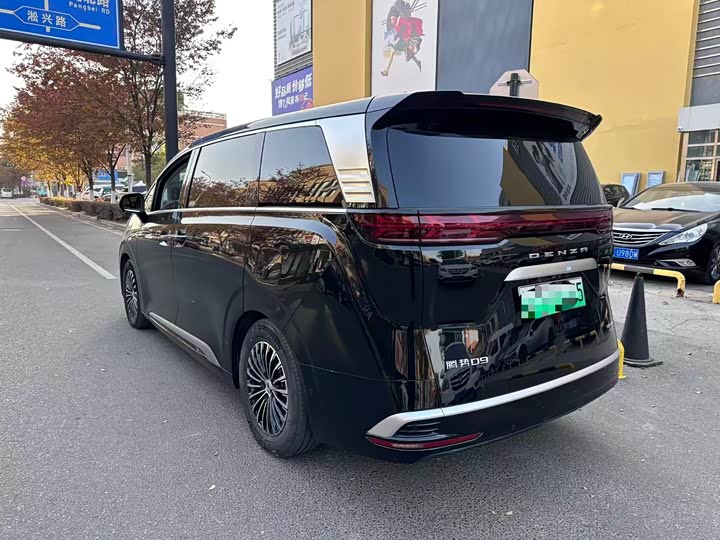 Фото 6 - Denza D9