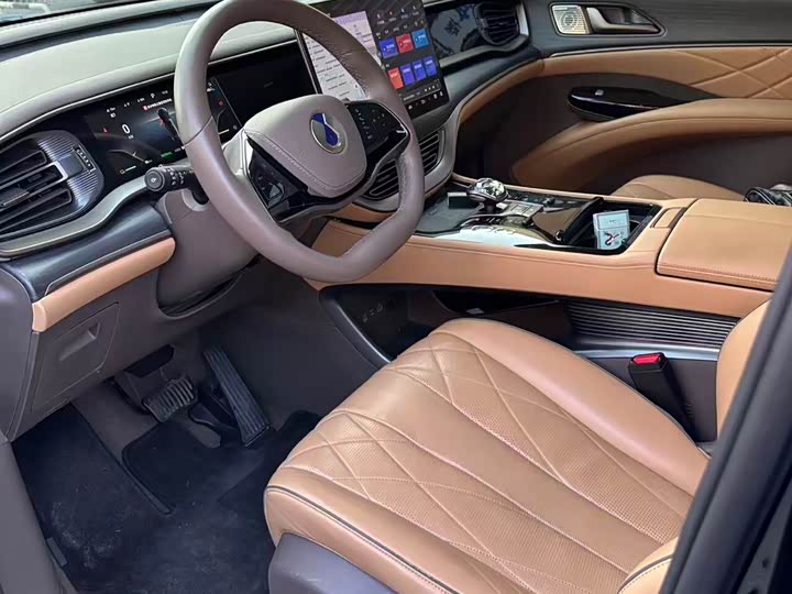 Фото 7 - Denza D9