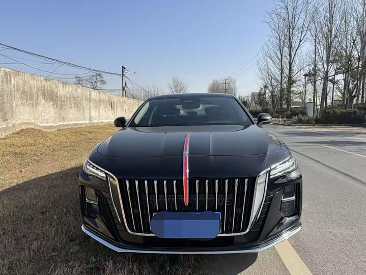 Фото 2 - Hongqi H5
