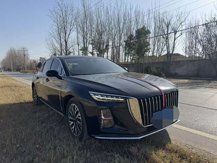 Фото 3 - Hongqi H5
