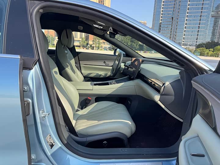 Фото 11 - Exeed Sterra ES