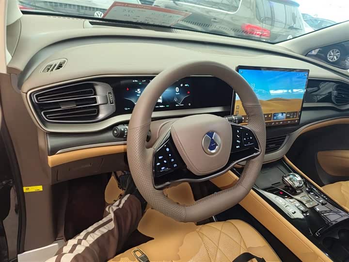 Фото 10 - Denza D9