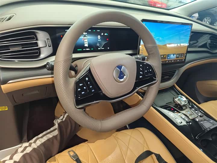 Фото 11 - Denza D9