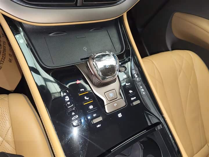 Фото 14 - Denza D9