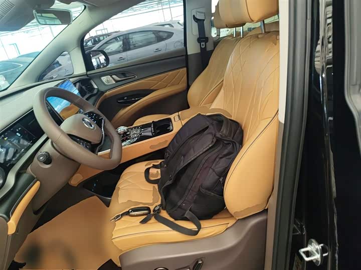 Фото 15 - Denza D9