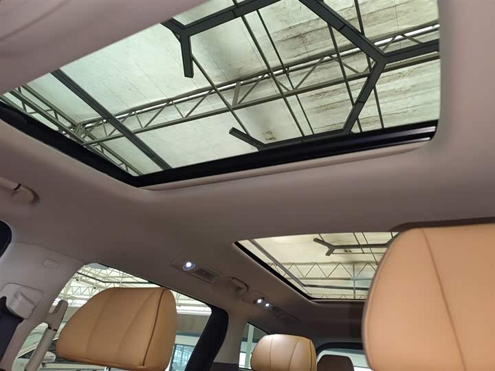 Фото 18 - Denza D9