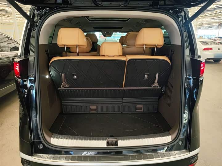 Фото 19 - Denza D9