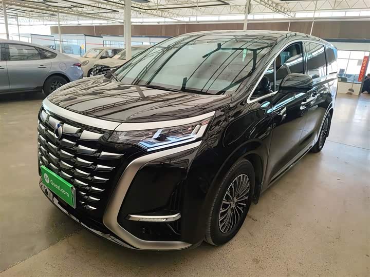 Фото 2 - Denza D9