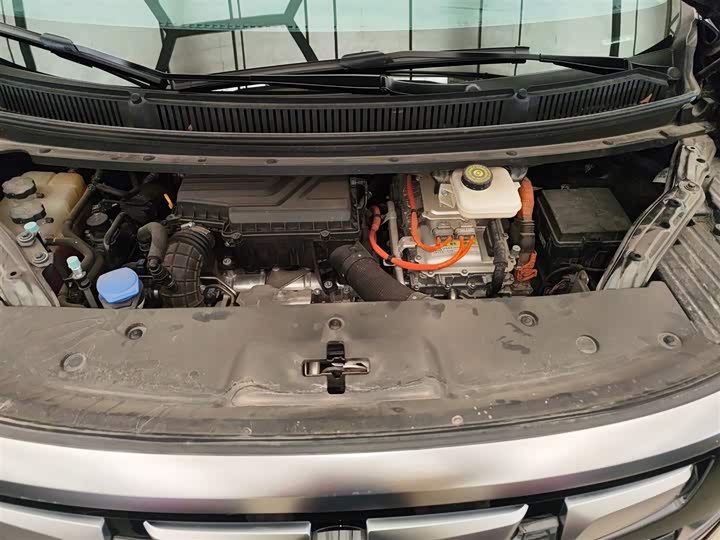 Фото 20 - Denza D9