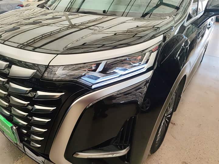 Фото 24 - Denza D9