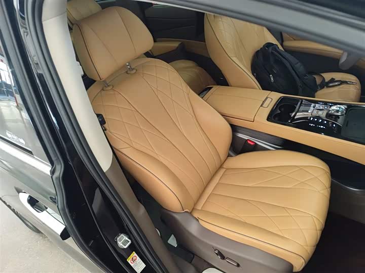 Фото 25 - Denza D9