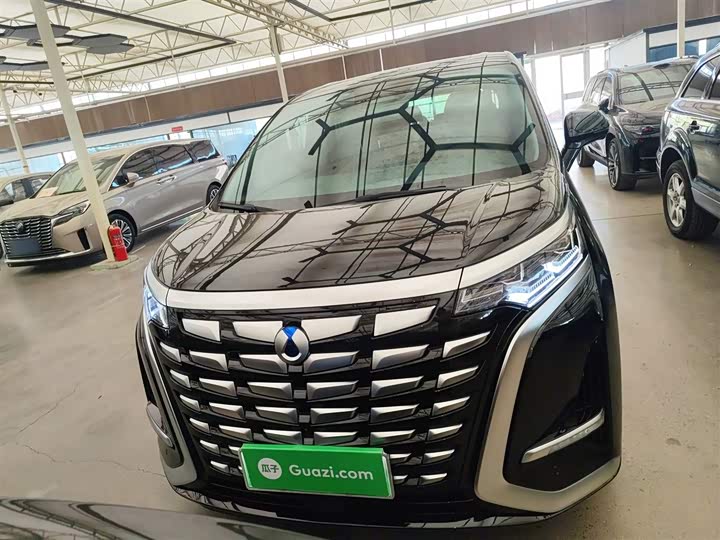 Фото 3 - Denza D9