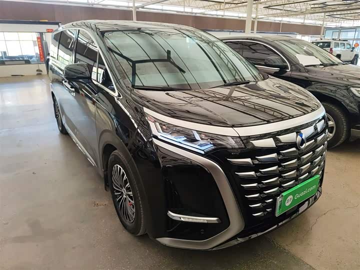 Фото 4 - Denza D9