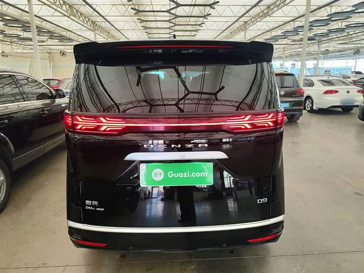 Фото 6 - Denza D9